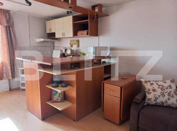 Garsonieră de închiriat Tatarasi - 152370AI | BLITZ Iași | Poza9