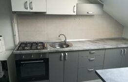 Apartament 2 camere, 36 mp, zona Palas