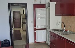 Apartament de 2 camere, 110 mp, zona Independentei