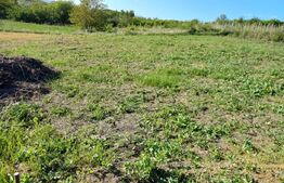 Teren intravilan, 577 mp, zona Chicerea