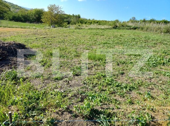 Teren de vânzare Tomesti - 152488TV | BLITZ Iași | Poza2