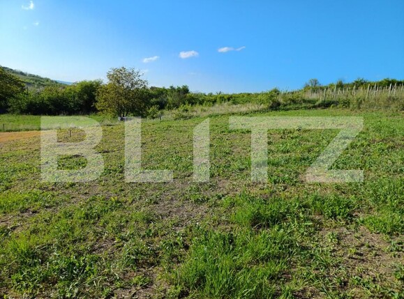 Teren de vânzare Tomesti - 152488TV | BLITZ Iași | Poza1