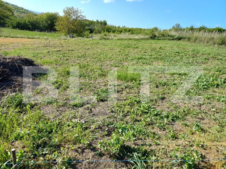 Teren de vânzare Tomesti - 152488TV | BLITZ Iași | Poza2