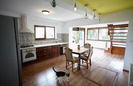 Casa Aroneanu, 210 mp, 1000 mp teren