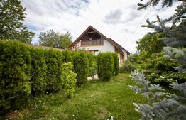 Casa Aroneanu, 210 mp, 1000 mp teren