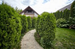 Casa Aroneanu, 210 mp, 1000 mp teren