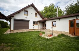 Casa Aroneanu, 210 mp, 1000 mp teren