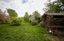 Casa Aroneanu, 210 mp, 1000 mp teren