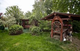 Casa Aroneanu, 210 mp, 1000 mp teren