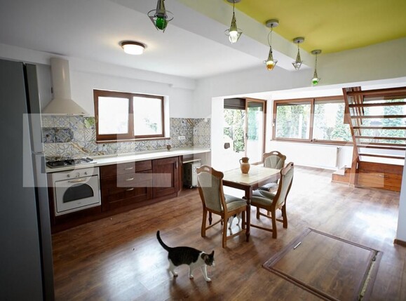 Casa de vânzare 4 camere Aroneanu - 152566CV | BLITZ Iași | Poza6