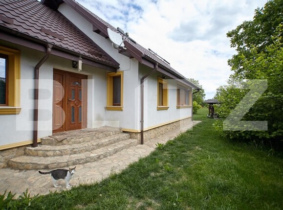 Casa de vânzare 4 camere Aroneanu - 152566CV | BLITZ Iași | Poza15