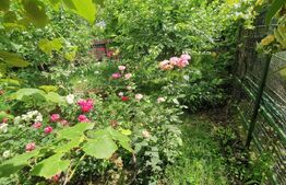 Casa 84 mp, 432m teren ,  zona Galata - Nicolina