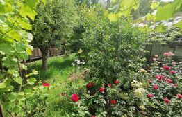 Casa 84 mp, 432m teren ,  zona Galata - Nicolina