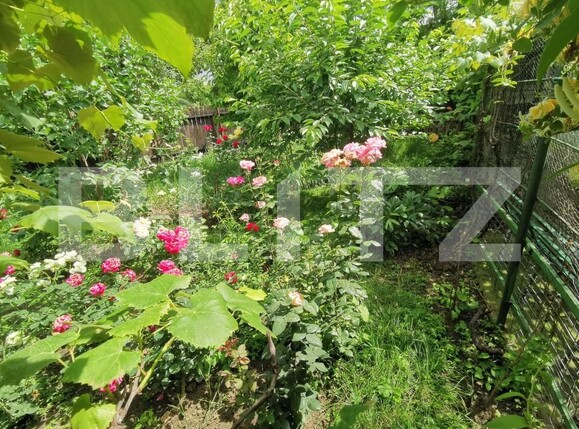 Casa de vânzare 4 camere Galata - 152582CV | BLITZ Iași | Poza7