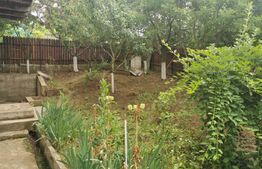 Casa, 3 camere,  130 mp , zona Balciu-Valea Adanca