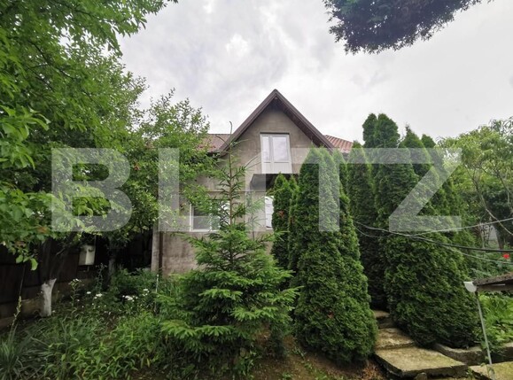 Casa de vânzare 2 camere Valea Adanca - 152593CV | BLITZ Iași | Poza1