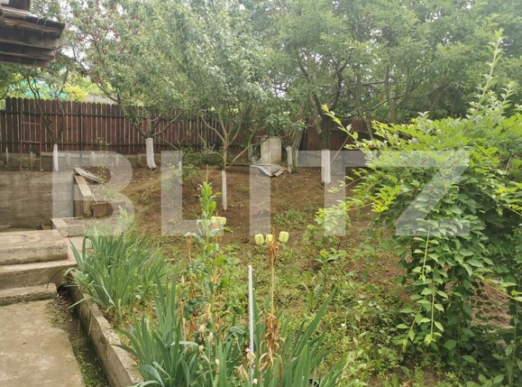 Casa de vânzare 2 camere Valea Adanca - 152593CV | BLITZ Iași | Poza2