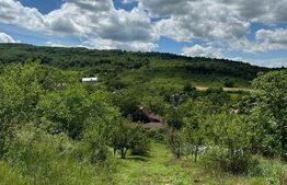 Teren intravilan, 2ha, zona Tomesti