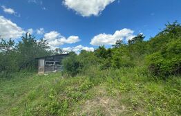 Teren intravilan, 2ha, zona Tomesti