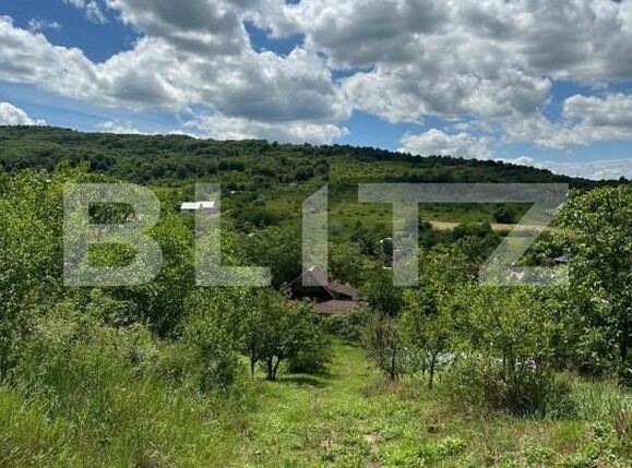 Teren de vânzare Tomesti - 152599TV | BLITZ Iași | Poza1