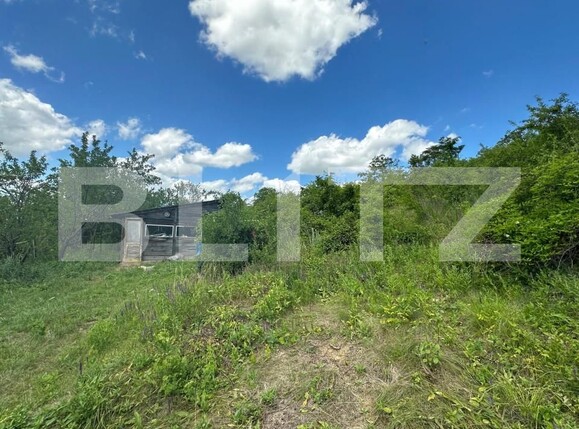 Teren de vânzare Tomesti - 152599TV | BLITZ Iași | Poza2