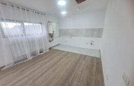 Casa de tip duplex, 1000 mp teren, zona Chicerea-Tomesti