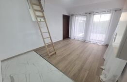 Casa de tip duplex, 1000 mp teren, zona Chicerea-Tomesti