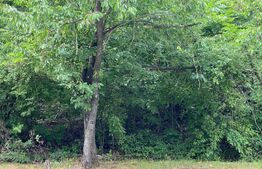 Teren impadurit, 1430mp, zona Sararie