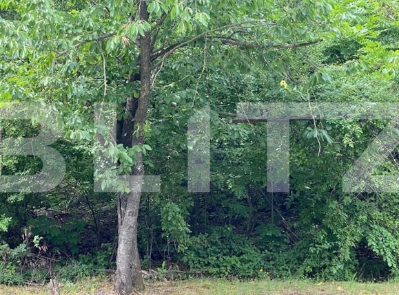 Teren de vânzare Sararie - 152670TV | BLITZ Iași | Poza1