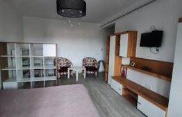 Apartament de 1 camera, 34 mp, zona Valea Lupului