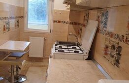 Apartament de 1 camera, 45 mp, zona Tatarasi