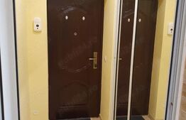 Apartament de 1 camera, 45 mp, zona Tatarasi