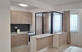 Apartament de 1 camera, 40 mp, zona Dacia