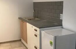 Apartament de 1 camera, 30 mp, zona Copou