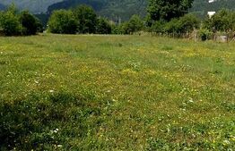 Teren intravilan la munte 3800mp, Stejaru Neamt