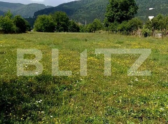 Teren de vânzare Vest - 153163TV | BLITZ Iași | Poza3