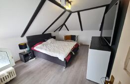 Casa, 6 camere, 197mp, zona Moara de Vant 