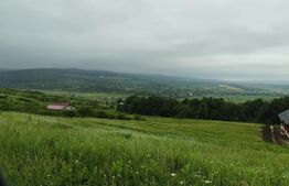 Teren 2000mp intravilan Birnova, langa padure