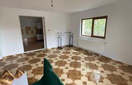 Casa de inchiriat, 280mp, 250 mp teren, zona Valea Adanca