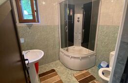 Casa de inchiriat, 280mp, 250 mp teren, zona Valea Adanca