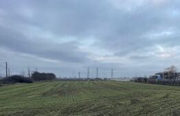 Teren intravilan Roman langa Dedeman, E85