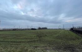 Teren intravilan Roman langa Dedeman, E85