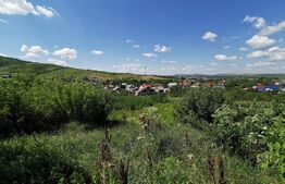 Teren 3600 mp Tomesti, la asfalt, toate utilitatile