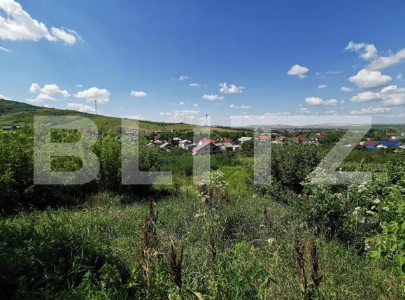 Teren de vânzare Tomesti - 153555TV | BLITZ Iași | Poza1