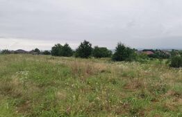 Teren Miroslava, strada Constantin Langa