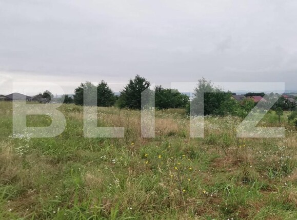 Teren de vânzare Miroslava - 153652TV | BLITZ Iași | Poza2