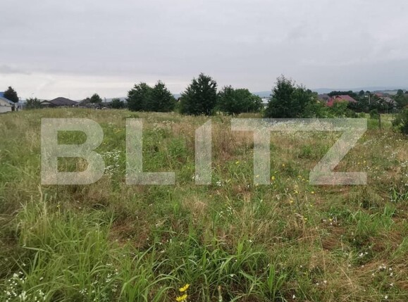 Teren de vânzare Miroslava - 153659TV | BLITZ Iași | Poza2
