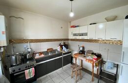 Apartament 99mp utili, curte 70mp, Lunca cetatuii