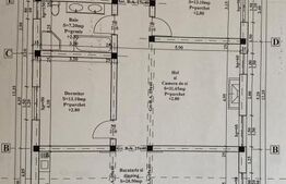 Apartament 99mp utili, curte 70mp, Lunca cetatuii