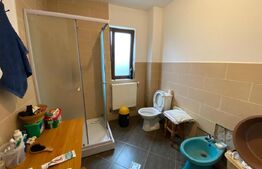 Apartament 99mp utili, curte 70mp, Lunca cetatuii